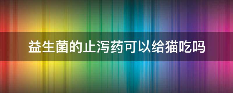 益生菌的止泻药可以给猫吃吗 猫咪益生菌和止泻药可以一起吃吗