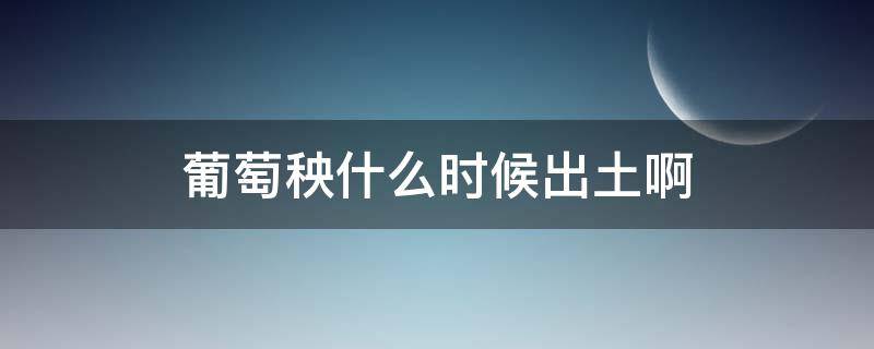 葡萄秧什么時候出土啊 葡萄秧啥時候出土