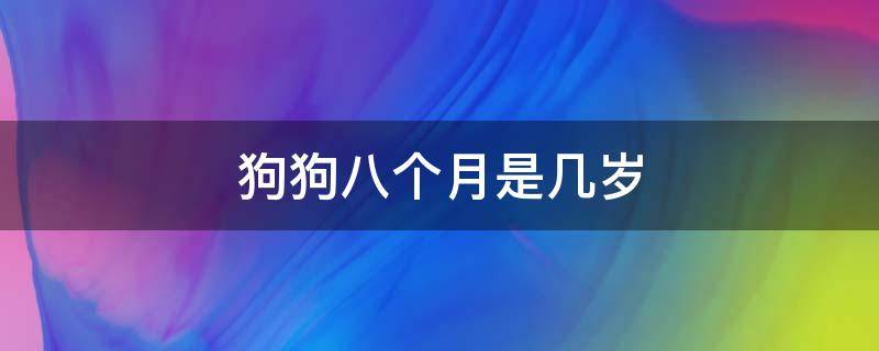 狗狗八个月是几岁（八个月的狗狗几岁）