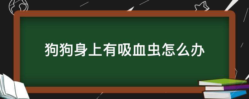 狗狗身上有吸血虫怎么办 狗狗身上有吸血虫怎么办,狗狗不让拔