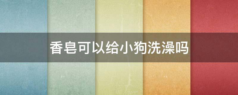 香皂可以给小狗洗澡吗 可以用香皂给小狗狗洗澡吗