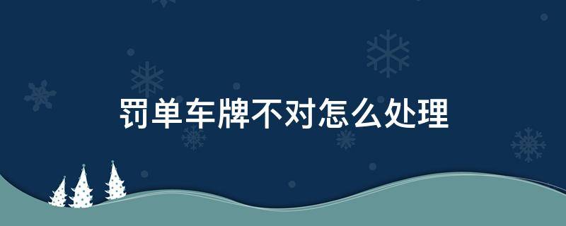 罚单车牌不对怎么处理（交警罚单车牌写错怎么办）