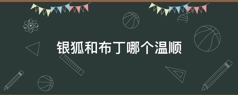 银狐和布丁哪个温顺（布丁聪明还是银狐聪明）