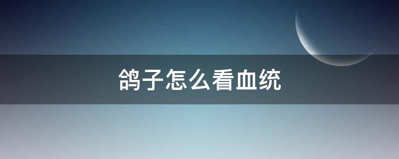 鸽子怎么看血统（鸽子怎么看血统沙眼）