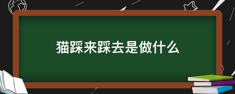 貓踩來踩去是做什么（貓喜歡踩來踩去）