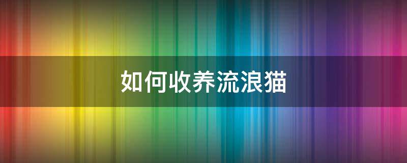 如何收养流浪猫 如何收养流浪猫?