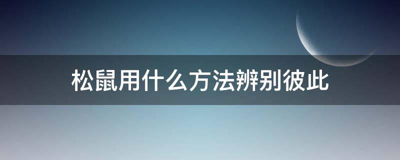 松鼠用什么方法辨别彼此 松鼠会通过何种方式识别对方