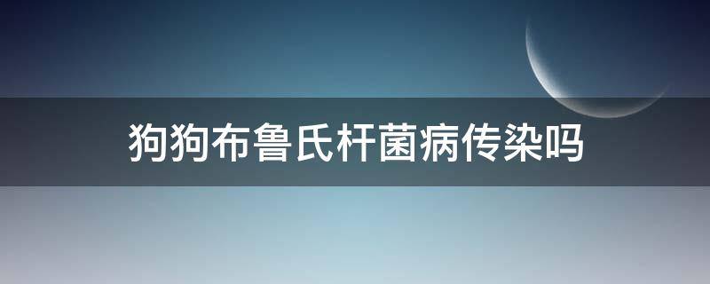 狗狗布鲁氏杆菌病传染吗（狗感染布鲁氏杆菌病的症状）