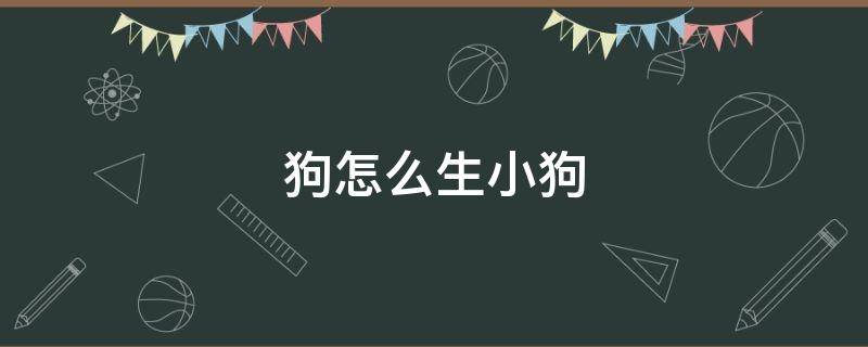 狗怎么生小狗 狗怎么生小狗从嘴里出来