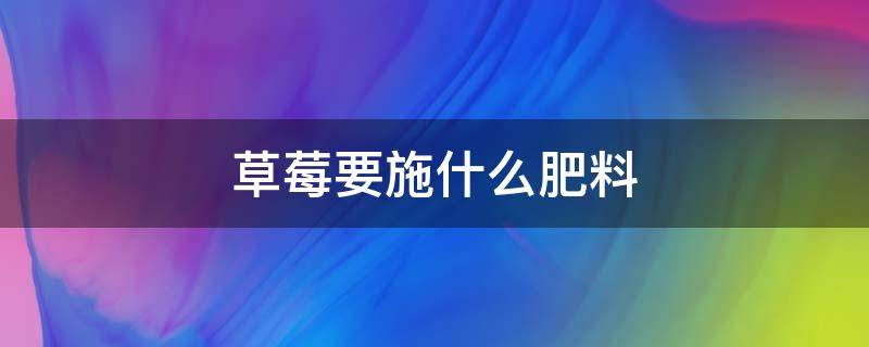 草莓要施什么肥料（草莓需要施什么肥料）