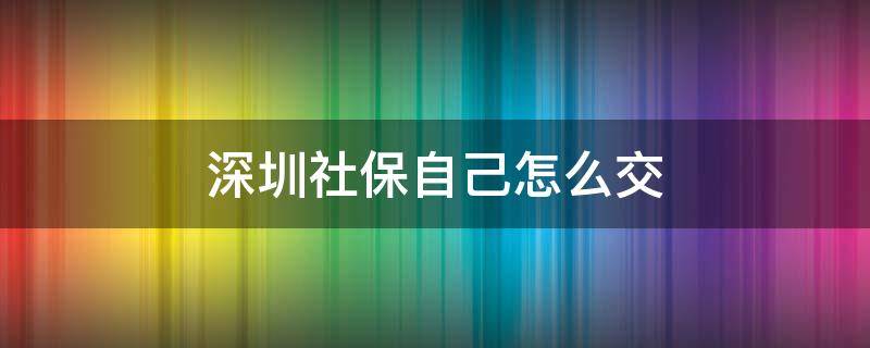 深圳社保自己怎么交（深圳市如何自己交社保）