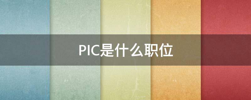 PIC是什么职位（pic的是什么岗位缩写）