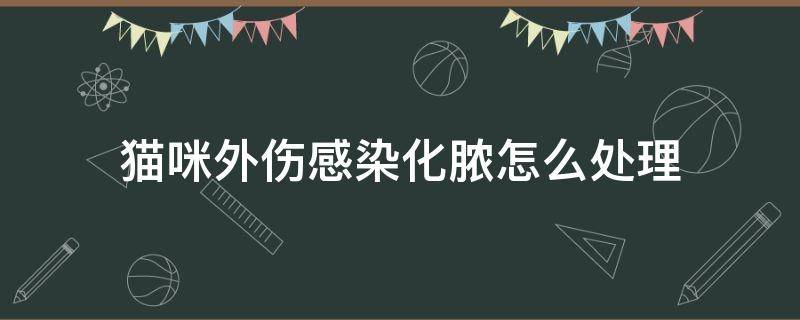 貓咪外傷感染化膿怎么處理（寵物貓受傷化膿怎么處理）