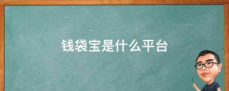 錢袋寶是什么平臺 錢袋寶是什么平臺正規(guī)嗎