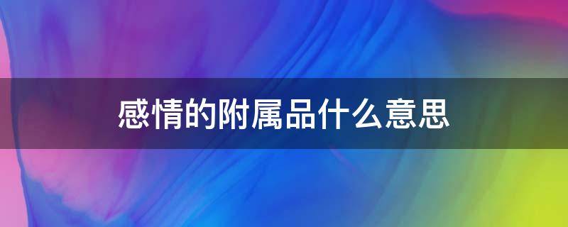 感情的附属品什么意思 感情附属是什么意思