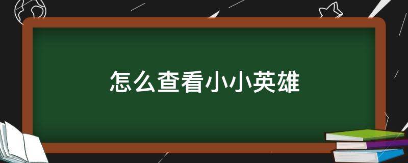 怎么查看小小英雄（怎么查看小小英雄我有多少）