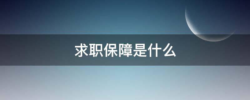 求職保障是什么（求職者保障）