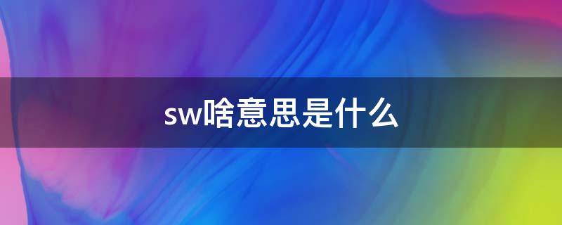 sw啥意思是什么（SW是什么意思的）