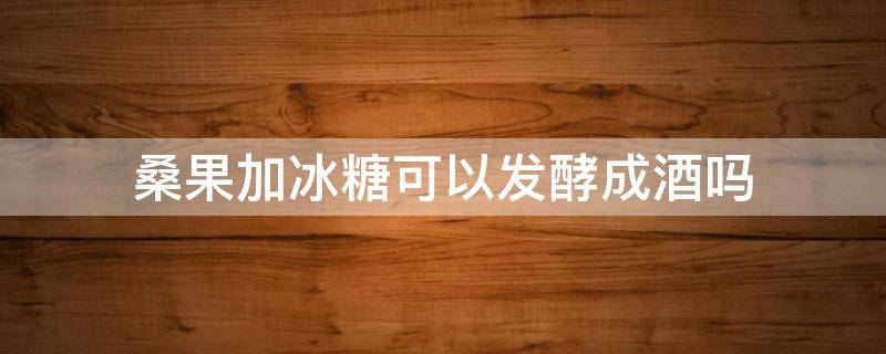 桑果加冰糖可以发酵成酒吗 泡桑葚酒可以放冰糖吗