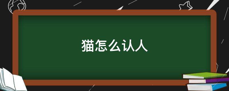 貓?jiān)趺凑J(rèn)人 貓憑什么認(rèn)人