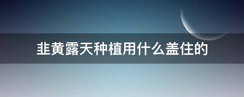 韭黃露天種植用什么蓋住的（種韭菜黃用什么蓋出來的）