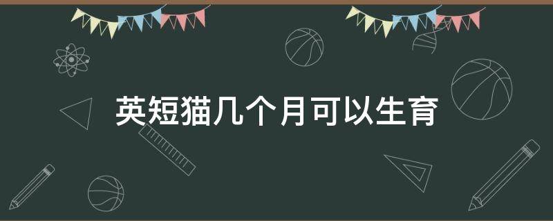 英短貓幾個(gè)月可以生育（英短幾個(gè)月可以生小貓）