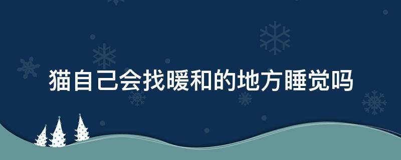 猫自己会找暖和的地方睡觉吗（猫咪冷了会自己找暖和的地方睡吗）