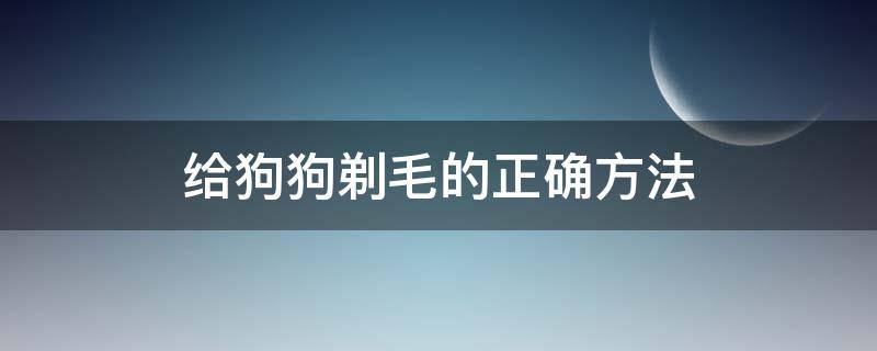 给狗狗剃毛的正确方法（自己给狗狗剃毛步骤）