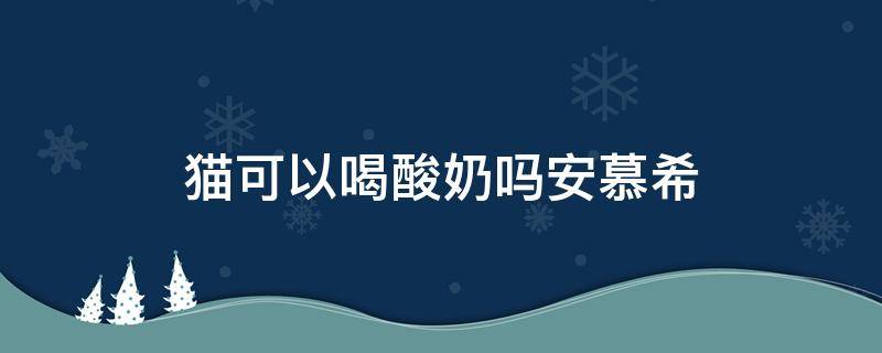 猫可以喝酸奶吗安慕希 猫可以喝牛奶安慕希吗