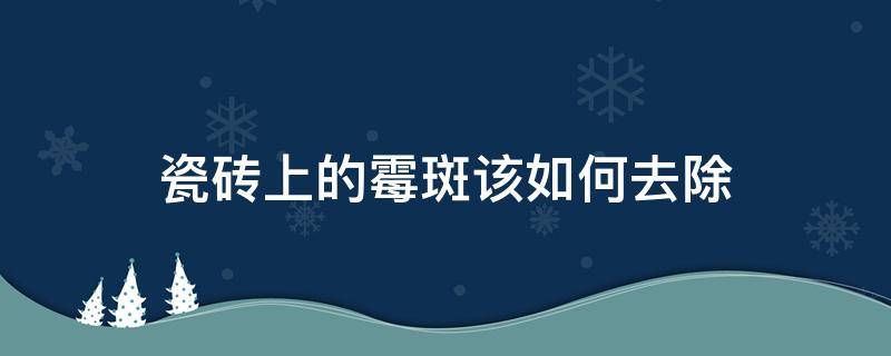 瓷砖上的霉斑该如何去除（瓷砖上的霉斑应该怎样清除）