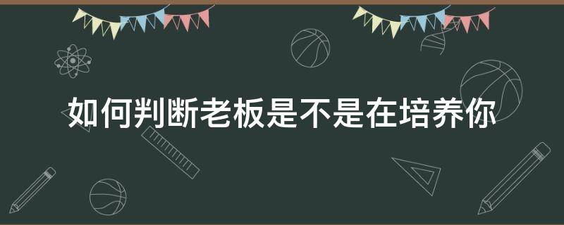 如何判斷老板是不是在培養(yǎng)你（老板培養(yǎng)你說明什么）