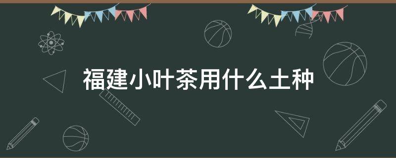 福建小叶茶用什么土种（小叶福建茶养殖土壤要求）