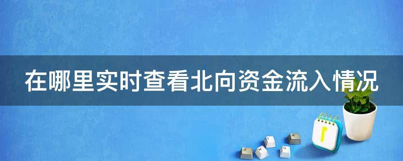 在哪里实时查看北向资金流入情况（实时查看北向资金流向）