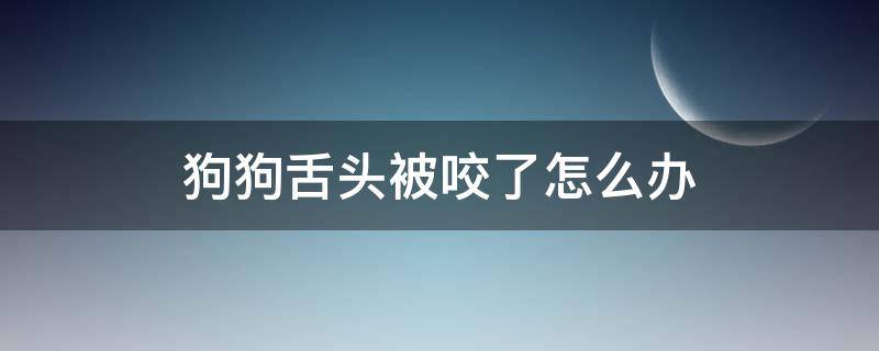 狗狗舌头被咬了怎么办（狗狗不小心咬到舌头怎么办）