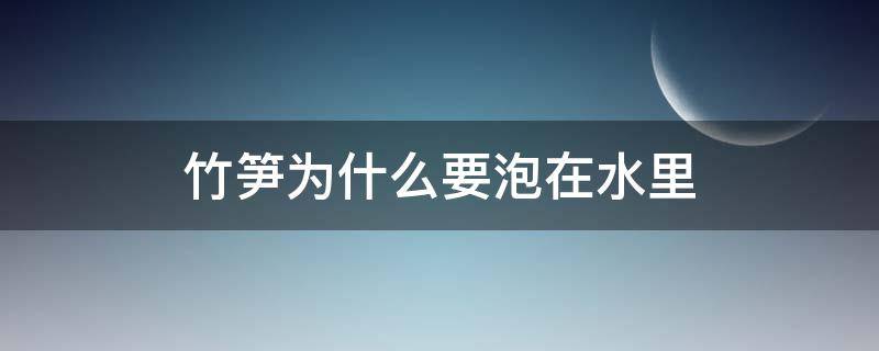 竹笋为什么要泡在水里（竹笋为什么要用水泡）