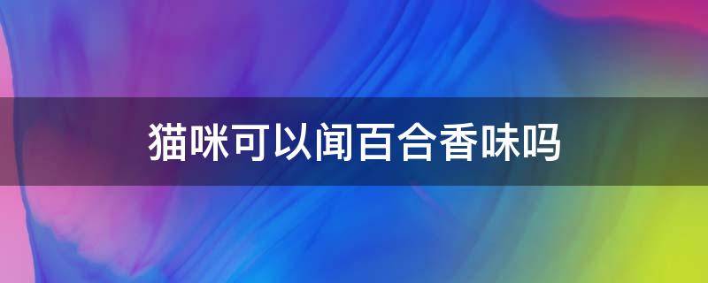 猫咪可以闻百合香味吗（猫咪闻到空气中百合的香味会怎样）