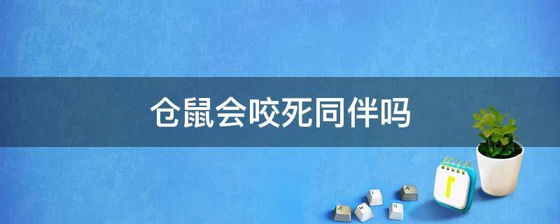 仓鼠会咬死同伴吗 仓鼠咬死同伴后还能养吗