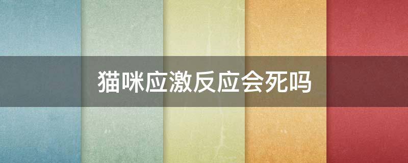 貓咪應(yīng)激反應(yīng)會(huì)死嗎 貓咪應(yīng)激后會(huì)死嗎