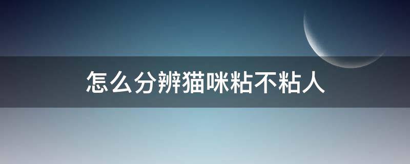 怎么分辨猫咪粘不粘人 怎么看猫咪黏不黏人