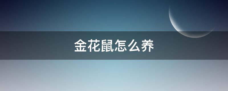 金花鼠怎么養(yǎng) 金花鼠怎么養(yǎng)殖