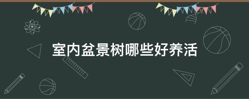 室内盆景树哪些好养活（什么盆景树好养活）