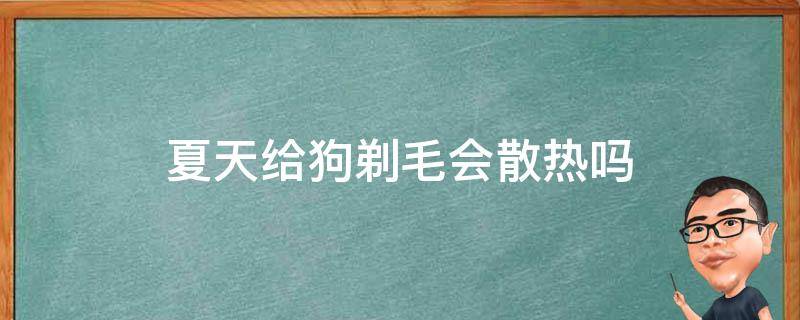 夏天给狗剃毛会散热吗 夏天剃狗毛可以散热吗