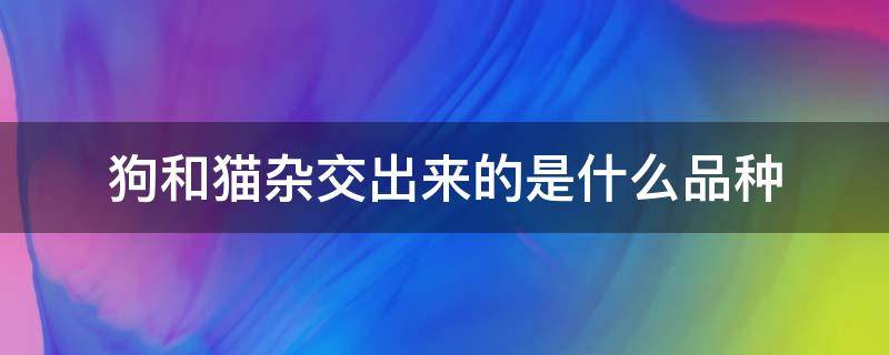 狗和貓雜交出來的是什么品種 狗貓雜交叫什么