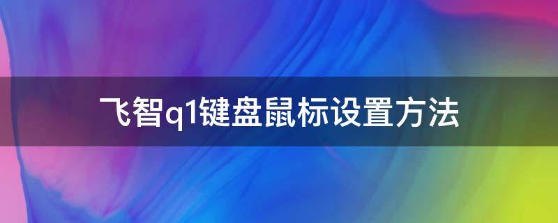 飛智q1鍵盤鼠標設(shè)置方法 飛智q1鍵鼠最新按鍵設(shè)置教程