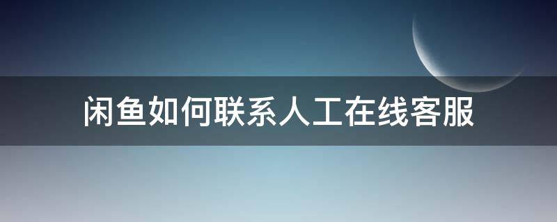 闲鱼如何联系人工在线客服（闲鱼怎么找人工在线客服）