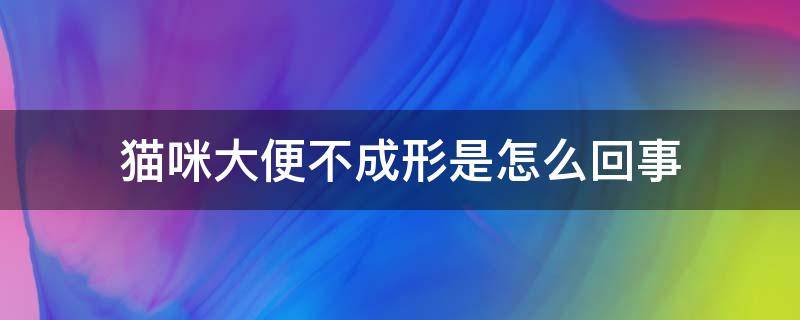 貓咪大便不成形是怎么回事 我家貓大便不成形