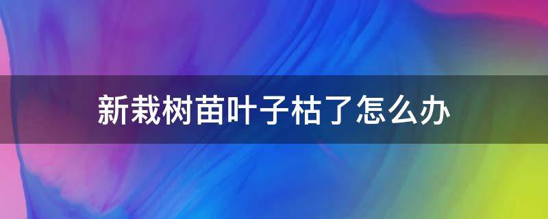 新栽樹苗葉子枯了怎么辦 新栽樹苗樹葉發(fā)蔫了