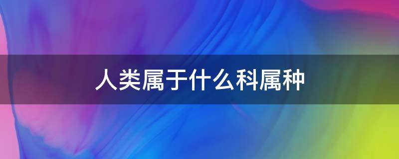 人類屬于什么科屬種 人類的屬種