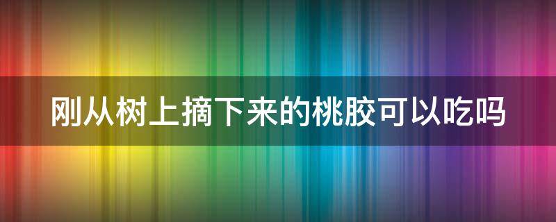 刚从树上摘下来的桃胶可以吃吗（刚从树上摘下来的桃胶可以吃吗图片）