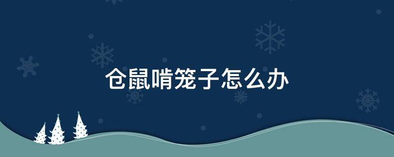 倉鼠啃籠子怎么辦 倉鼠啃籠子會把籠子啃壞嗎